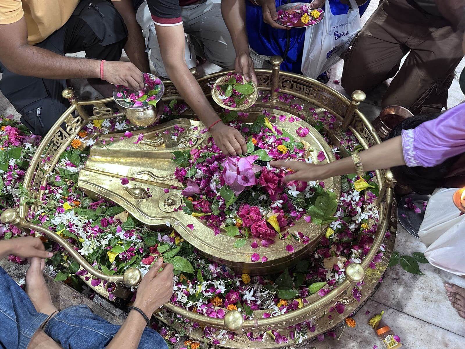 Pink rose petals offered around the brass Shivling enclosure