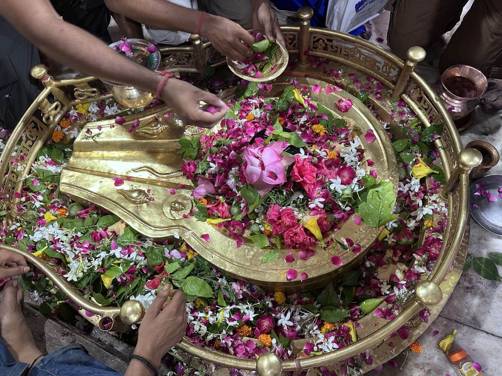 Lotus and bilva leaves on the flower-covered Shivling
