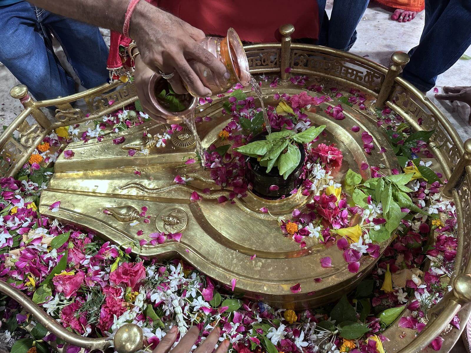 Jal abhishek on the ancient black stone Shivling
