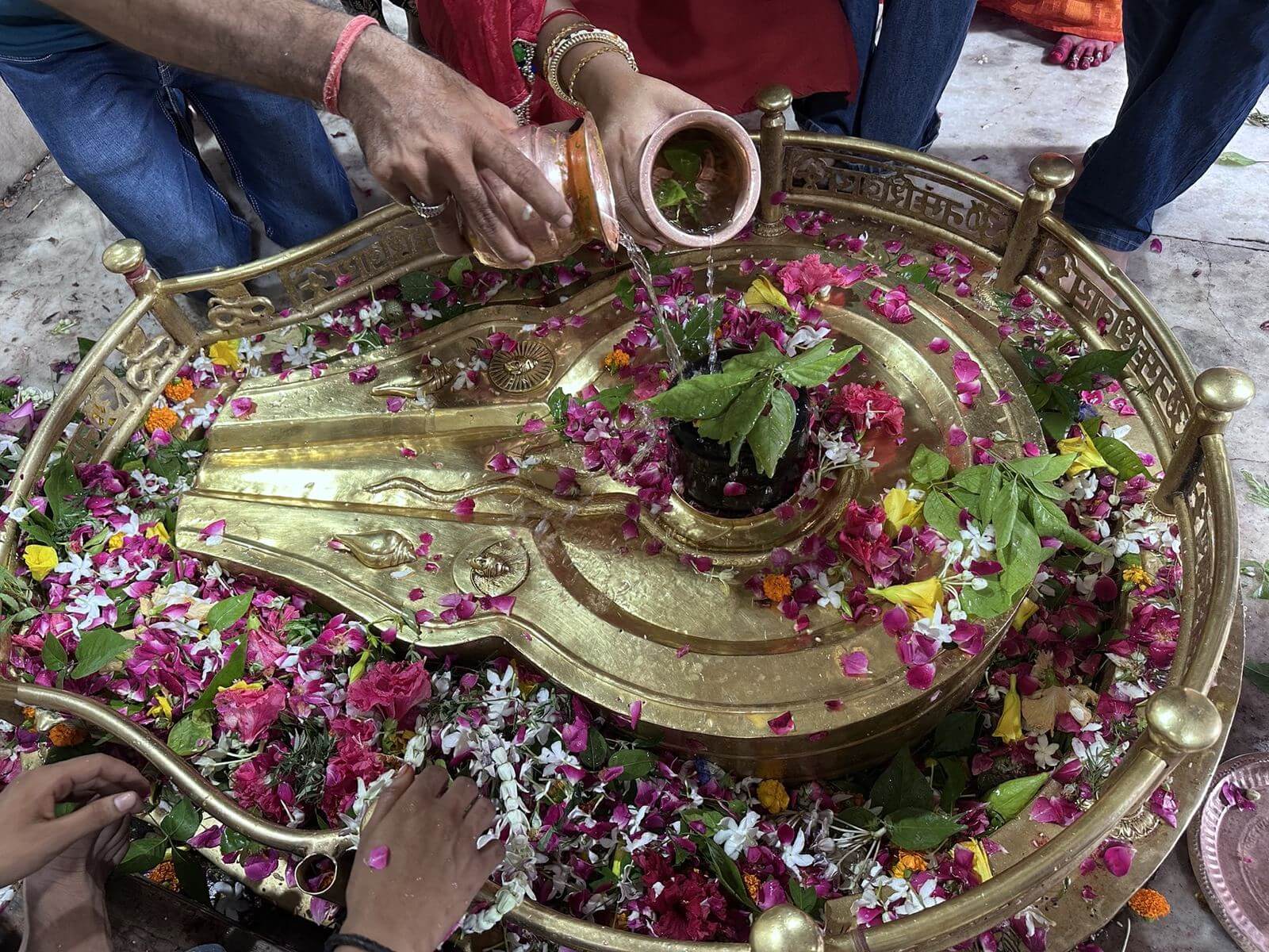 Brass yoni of the Shivling covered in pink petals