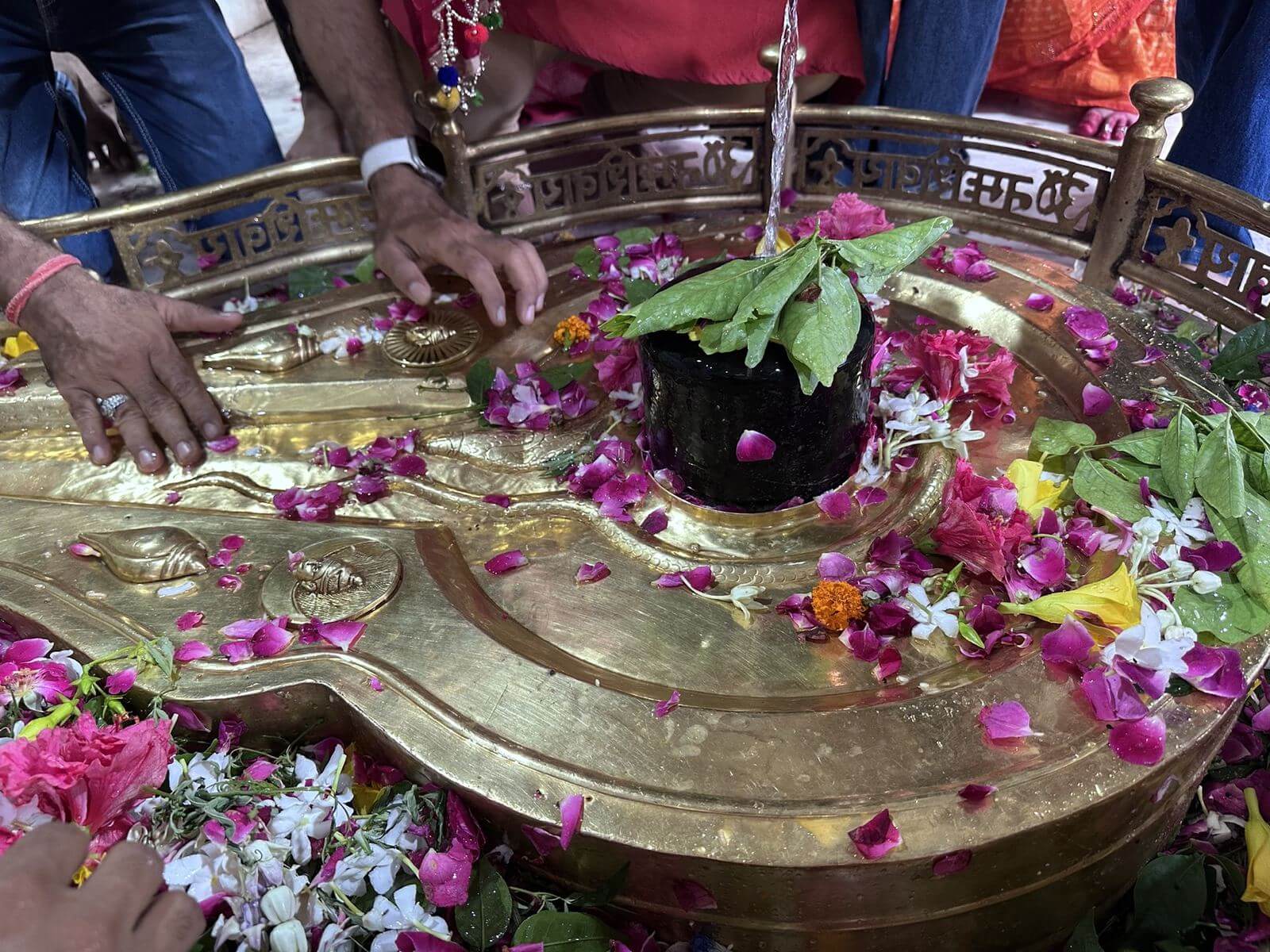 Close view of the ancient black stone Shivling with bel leaves